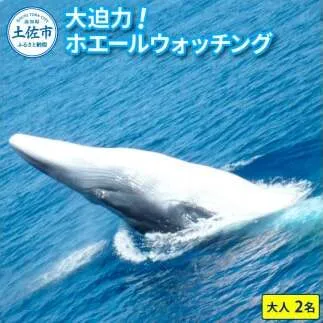 ホエールウォッチング 大人２名分相当 14000円分クーポン