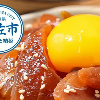 訳あり海鮮漬け丼（タイ12P・マグロ8P）セット 漬け丼 漬け 鯛 鮪 マグロ 赤身 食べ比べ 海鮮 魚 冷凍 食品 保存食 小分け 高知 土佐 海鮮丼 漬け丼 ぶっかけ お茶漬け 鯛めし 惣菜 そうざい 訳アリ わけあり 不揃い 規格外 故郷納税 返礼品