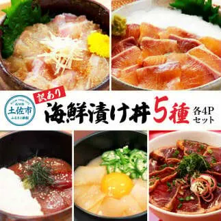 訳あり 海鮮漬け丼 （5種×各4P）セット 1袋約60g 合計1220g 鰤 ブリ まぐろ 醤油 漬け 鯛 刺身 冷凍 マグロ 赤身 かつおたたき 鰹 イカ いか 海鮮丼 海鮮セット 高知県 土佐市