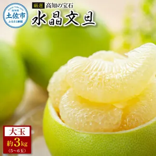 ＜厳選＞高知の宝石、水晶文旦3kg 〈2026年9月下旬～10月中旬発送〉先行予約 期間限定 水晶文旦 文旦 ブンタン ぶんたん 3キロ 柑橘 みかん フルーツ 果物 高知 名物 箱入り ギフト 高知県 土佐市【やの一果彩】[BQAC020]