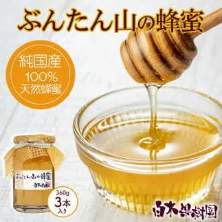 爽やかな香り広がる100%天然蜂蜜 ぶんたん山の蜂蜜　360g 3本入り はちみつ ハチミツ 高知県産 国産 天然はちみつ 土佐 高知 【白木果樹園】