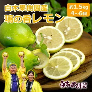 璃の香レモン　約1.5kg　（4～6個）訳ありご家庭用　果物　柑橘　フルーツ　レモン　高知県土佐市　お取り寄せ 産地直送　おいしい 美味しい　白木果樹園