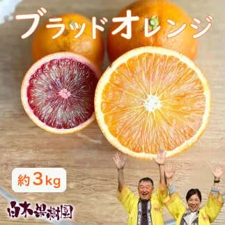 【先行予約】ブラッドオレンジ　約3kg　〈2027年2月中旬～3月中旬頃発送〉  / 果物　柑橘　フルーツ　オレンジ　高知県土佐市　お取り寄せ 産地直送　おいしい 美味しい　白木果樹園【白木果樹園】 [BQAI042]