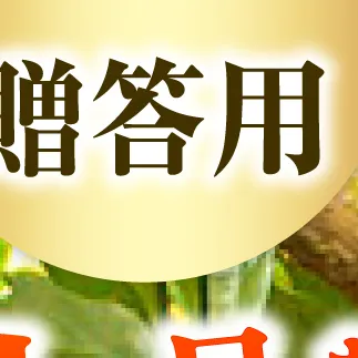 【先行予約】【果樹園直送】土佐文旦特選品贈答用　約10kg　L～2L　（20～25個）〈2027年2月中旬～3月中旬頃発送〉  /  果物 柑橘 フルーツ ぶんたん ブンタン 文旦 高知県 土佐市 お取り寄せ 産地直送 高知県 土佐市【白木果樹園】 [BQAI007]