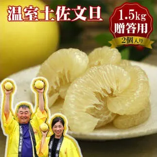 【先行予約】特選温室土佐文旦 特選秀品ご贈答用中箱 2個入り 約1.5kg〈2026年12月上旬～12月下旬頃〉 / 高糖度 温室 文旦 大玉サイズ ハウス文旦 柑橘 みかん フルーツ ぶんたん ブンタン 果物 お取り寄せ 高知県 土佐市【白木果樹園】 [BQAI037]