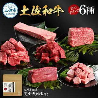 土佐和牛詰め合わせ6種 長期熟成肉 6種 詰め合わせ セット 田野屋銀象 完全天日塩付き