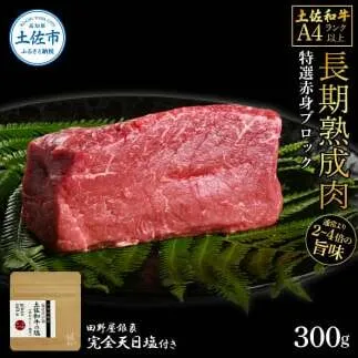 土佐和牛 特選赤身ブロック300g 田野屋銀象完全天日塩1P付き 長期熟成肉 田野屋銀象 完全天日塩付き 赤身 牛肉 ブロック 肉 お肉 和牛 国産 牛 熟成肉 ブロック肉 豪華 贅沢 真空パック