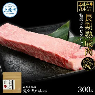 土佐和牛 特選カルビブロック300g 田野屋銀象完全天日塩1P付き 特選 長期熟成肉 田野屋銀象 完全天日塩付き カルビ 牛肉 ブロック 肉 お肉 和牛 国産 牛 熟成肉 ブロック肉 豪華 贅沢