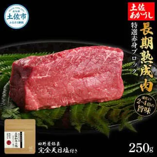 特選 赤身ブロック 土佐あかうし 長期熟成肉 250g 田野屋銀象 完全天日塩付き 赤身 牛肉 ブロック 肉 お肉 和牛 国産 牛 熟成肉 ブロック肉 豪華 贅沢【株式会社LATERAL】 [BQAU029]