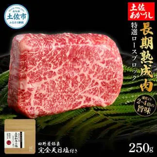 特選 ロースブロック 土佐あかうし 長期熟成肉 250g 田野屋銀象 完全天日塩付き ロース 牛肉 ブロック 肉 お肉 和牛 国産 牛 熟成肉 ブロック肉 豪華 贅沢【株式会社LATERAL】 [BQAU022]
