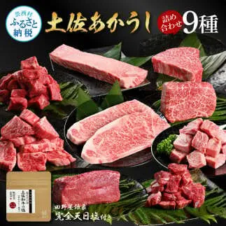 特選 土佐あかうし 長期熟成肉 9種 詰め合わせセット 田野屋銀象 完全天日塩付き 牛肉 肉 お肉 和牛 国産 牛 赤身 ヒレ カルビ ロース ステーキ スネ肉【株式会社LATERAL】 [BQAU035]