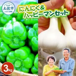 にんにく＆ハッピーマンセット 約3キロ 約3kg ニンニク 自然乾燥にんにく ピーマン 野菜 やさい おかず 副菜 お弁当 新鮮 おいしい 採れたて 国産 訳あり わけあり お取り寄せ