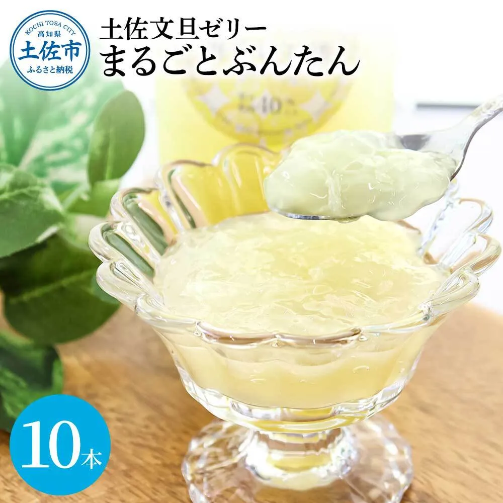 土佐文旦ゼリー『まるごとぶんたん』10本セット ぜりー ブンタン ぶんたん フルーツ 果物 柑橘 みかん お菓子 おかし おやつ デザート スイーツ おいしい 爽やか シャーベット お取り寄せ