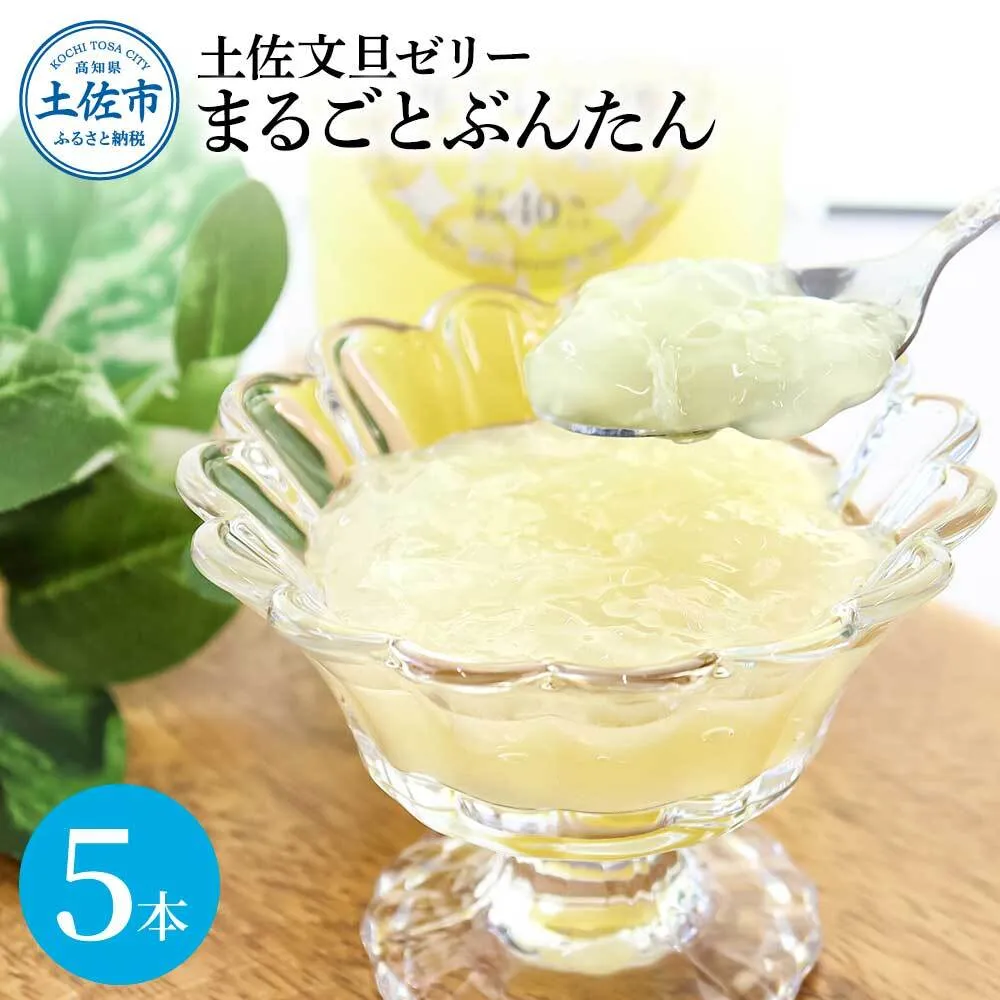 土佐文旦ゼリー『まるごとぶんたん』お試し5本セット