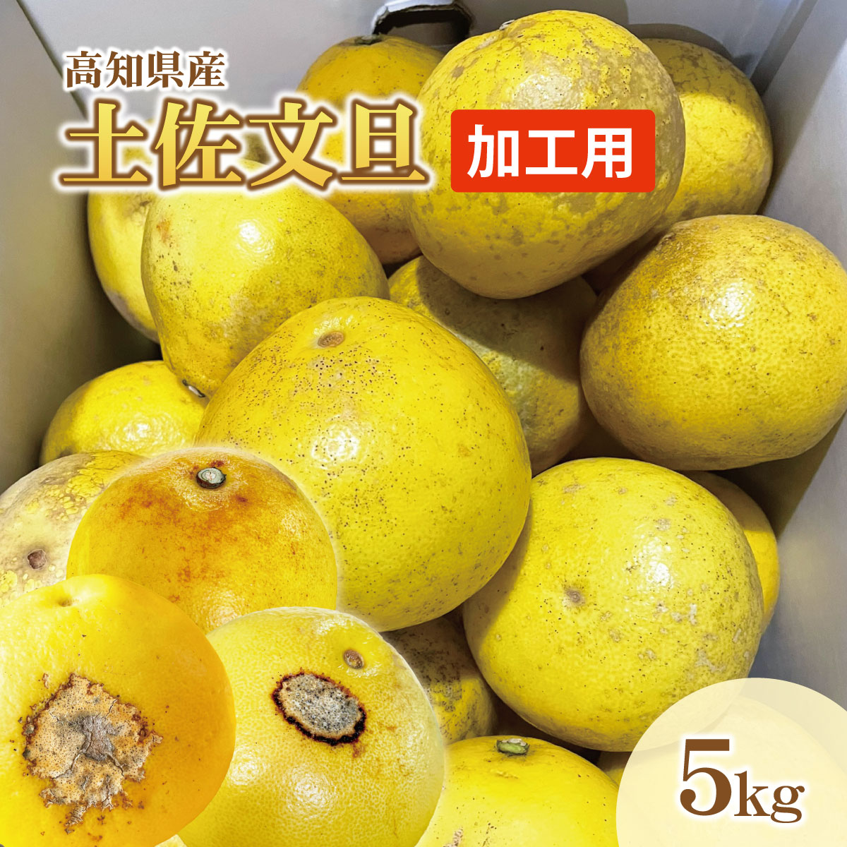 加工用】土佐文旦(ぶんたん) M～5L混合 約5kg【土佐グルメ市場