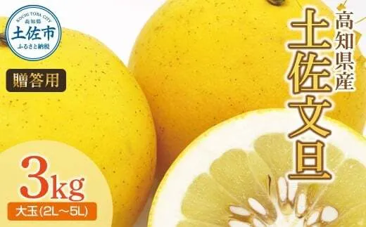 【先行予約】土佐文旦（大玉：2L～5L 混合）約3kg 〈2027年2月中旬〜発送〉/ 土佐文旦発祥の地 産地直送 家庭用 贈答用 文旦 3キロ 約4～7玉 大玉 ぶんたん ブンタン 柑橘 果物【株式会社とさもん】