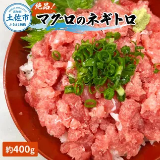 マグロのネギトロ 約400g 約3～4人前 薬味・醤油付き まぐろ 鮪 ねぎとろ 魚介 海鮮 海鮮丼 お寿司 おかず【さかなの森澤　マル祐】 [BQAM015]