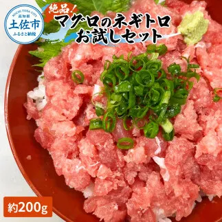 マグロのネギトロ お試しセット 約200g（約1～2人前）薬味・醤油付き / まぐろ 鮪 ねぎとろ 魚介 海鮮 海鮮丼 お寿司 おかず 新鮮【さかなの森澤　マル祐】 [BQAM014]