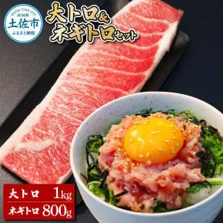 本鮪 大トロ500g ネギトロ400g(200g×2) 