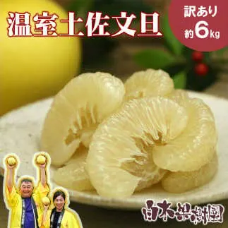 12月発送土佐文旦 温室土佐文旦 L～3L 約6kg 約6キロ(10～14個入り) お得箱 ブンタン ぶんたん 土佐文旦 ハウス文旦 高知県土佐市産 フルーツ 果物 くだもの 柑橘 旬 訳あり わけあり ご自宅用 ご家庭用 おいしい 甘い