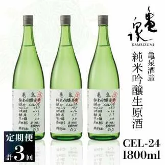 純米吟醸生原酒 CEL-24 1800ml 1.8l 生酒 毎月1本×3回 定期便 お酒 酒 さけ 日本酒 アルコール 生原酒 アルコール度数14度 14% 甘口 フルーティ 食中酒 地酒 亀泉酒造 一升瓶 飲みやすい 冷蔵 配送