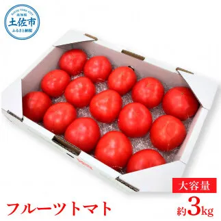 【先行予約】旬の濃旨フルーツトマト 約3kg <2027年1月〜発送> / 糖度8～10度 大小混合 詰め合わせ フルーツトマト ふるーつとまと とまと トマト 桃太郎 甘い 濃厚 美味しい【池トマト】[BQAG051]