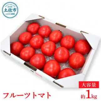 ＜2026年1月下旬～発送＞旬の濃旨フルーツトマト1kg 糖度8～10度 大小混合 詰め合わせ
