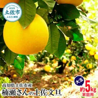 【先行予約】楠瀬さんの土佐文旦 家庭用大玉 約5kg 約5キロ 4L～2L ぶんたん ブンタン フルーツ 柑橘 みかん 果物 くだもの 柑橘類 デザート おやつ さっぱり おいしい 甘い お取り寄せ 国産