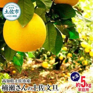 【先行予約】楠瀬さんの土佐文旦 家庭用大玉 約5kg 4L～2L
