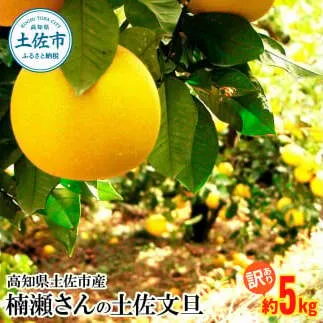 楠瀬さんの土佐文旦 訳あり 約5kg 約5キロ 4L～L