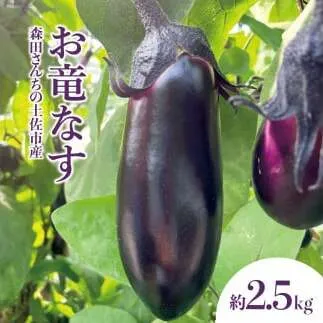 森田さんちの土佐市産お竜なす 約2.5kg 2.5キロ 29~34本 1本約80g 茄子 ナス なすび 野菜 新鮮 焼き茄子 煮浸し 漬物 浅漬け ぬか漬け 味噌汁 おかず 弁当 お取り寄せ 食品