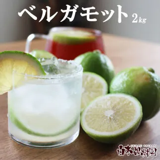 【先行予約】＜果樹園直送＞ 白木果樹園産 ベルガモット 約2kg 1キロ 10～15個入り〈2026年10月下旬～12月下旬頃発送〉  / 果物 くだもの 果実 柑橘類 柑橘 爽やか フレッシュ 新鮮 デトックスウォーター【白木果樹園】 [BQAI045]