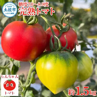 完熟トマト しんちゃんトマト 約1.5kg(750g×2箱) 糖度7.0～8.9度 約1.5キロ とまと トマト 野菜 やさい 料理 サラダ マリネ 甘味 酸味 食品 食べ物 おいしい お取り寄せ