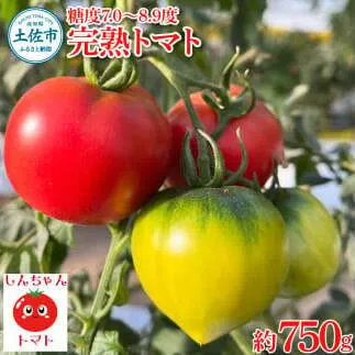 完熟トマト しんちゃんトマト 約750g 糖度7.0～8.9度 とまと トマト 野菜 やさい 料理 サラダ マリネ 甘味 酸味 食品 食べ物 リコピン おいしい お取り寄せ