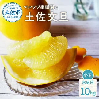マルツジ果樹園の土佐文旦 家庭用(小玉) 約10kg 10キロ M～Lサイズ 24～34個入り ぶんたん ブンタン フルーツ 柑橘 みかん 果物 くだもの 柑橘類 デザート お取り寄せ 国産