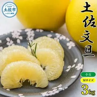 【先行予約】【訳あり】農家直送 土佐市産 土佐文旦 小玉 約3kg 7～10玉入 〈2027年2月〜発送〉 家庭用 訳あり ３キロ Mサイズ 傷 文旦 ぶんたん ぼんたん フルーツ 果物 くだもの 柑橘 みかん 高知県 土佐市【株式会社種田農園】 [BQBW009]