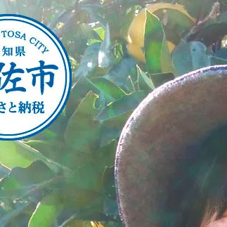 本場、高知県土佐市産！土佐水谷農園の露地土佐文旦 家庭用5キロ 5kg 中玉～大玉（3L～上限なし：7玉前後）皮むき器付き 訳あり