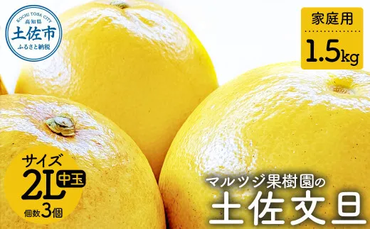 【先行予約】マルツジ果樹園の土佐文旦 家庭用(中玉) 約1.5kg 1.5キロ 2Lサイズ 3個入り 〈2027年2月1日から3月31日頃発送〉/ ぶんたん ブンタン フルーツ 柑橘 みかん 果物 くだもの 柑橘類 デザート ご自宅用【マルツジ果樹園】 [BQAN015]