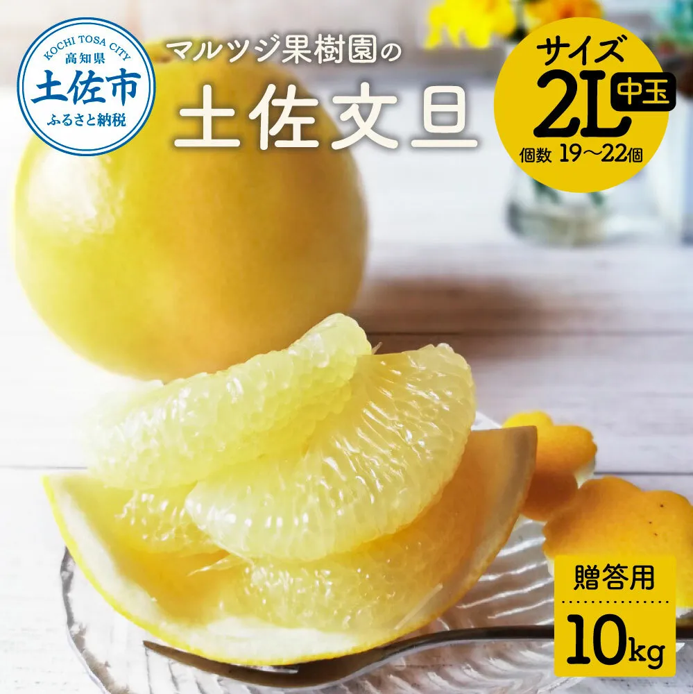 マルツジ果樹園の土佐文旦 贈答用(中玉) 約10kg 10キロ 2Lサイズ 19～22個入り ぶんたん ブンタン フルーツ 柑橘 みかん 果物 くだもの 柑橘類 デザート お取り寄せ 国産