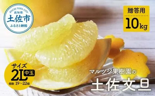 マルツジ果樹園の土佐文旦 贈答用(中玉) 約10kg 10キロ 2Lサイズ 19～22個入り ぶんたん ブンタン フルーツ 柑橘 みかん 果物 くだもの 柑橘類 デザート お取り寄せ 国産
