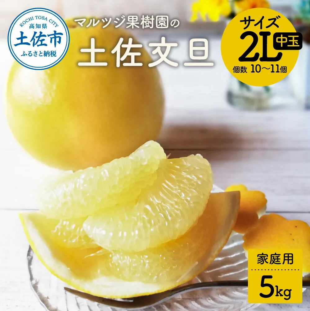 マルツジ果樹園の土佐文旦 家庭用(中玉) 約5kg 5キロ 2Lサイズ 10～11個入り ぶんたん ブンタン フルーツ 柑橘 みかん 果物 くだもの 柑橘類 デザート お取り寄せ 国産