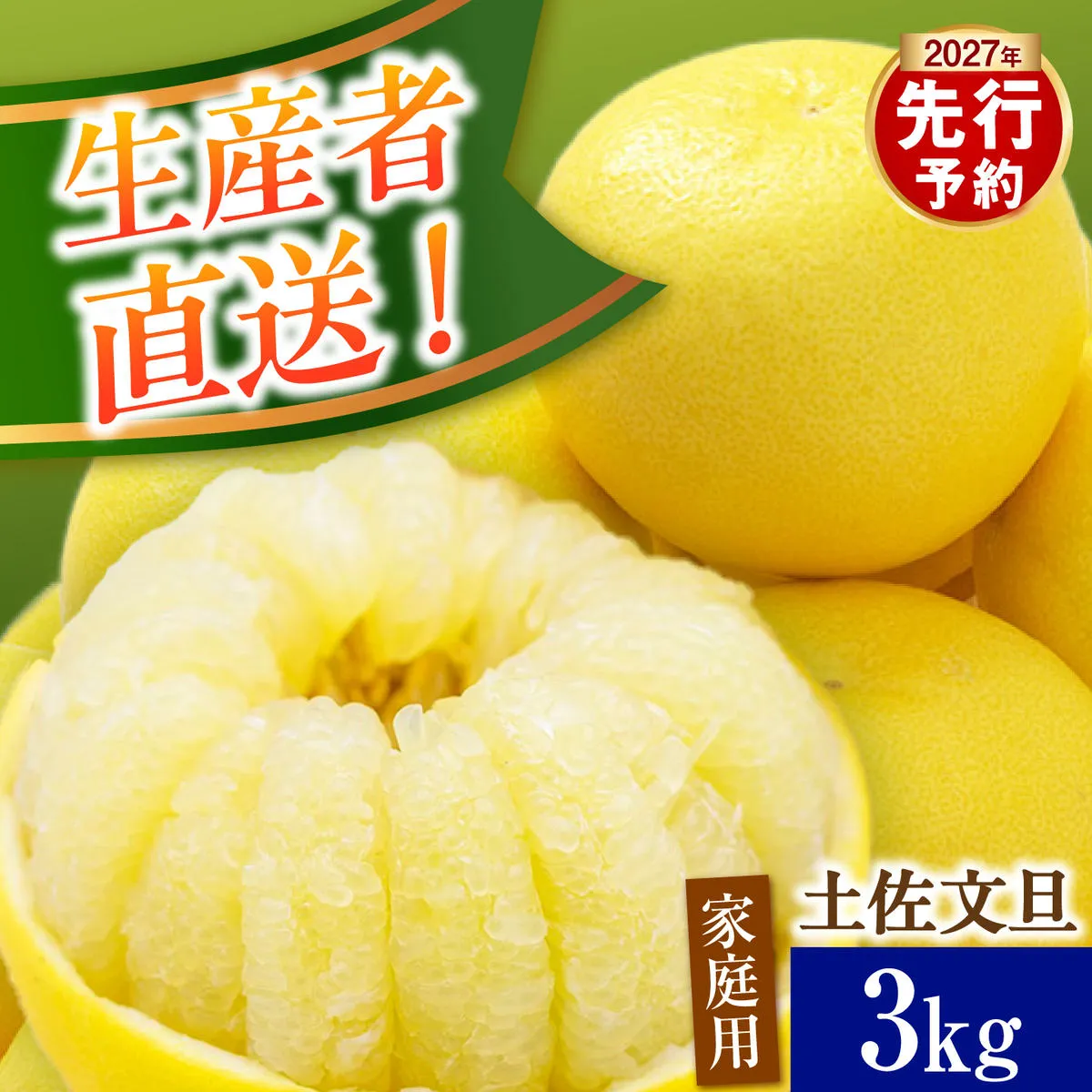 【先行予約】生産者直送 土佐文旦 約3kg [2L～4L] 家庭用 ＜2027年1月下旬より発送＞ 家庭用 文旦 柑橘 みかん フルーツ  果物  産地直送 お取り寄せ 人気  【土佐文旦産直協同組合】