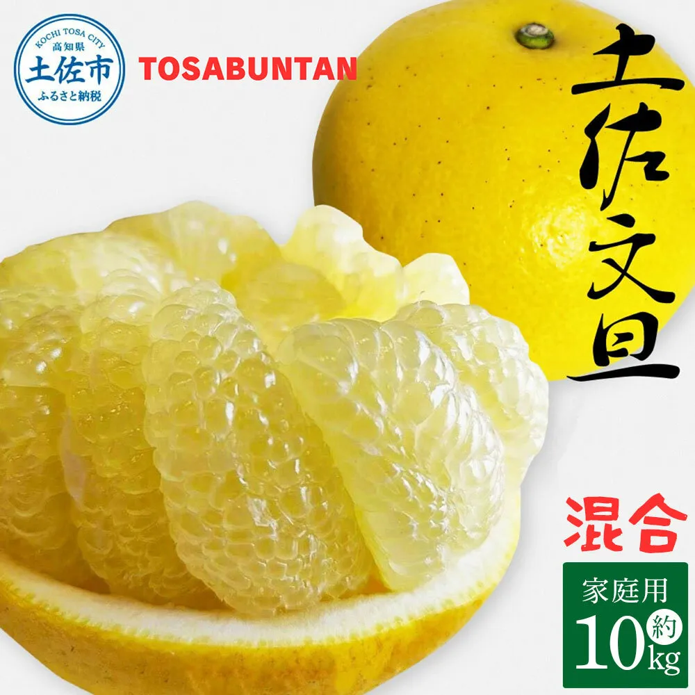 ＜2026年1月下旬より順次発送＞土佐文旦 家庭用 10kg 17～24玉入り L～3Lサイズ混合 先行予約 文旦 ぶんたん ブンタン 柑橘 フルーツ デザート 果物 ご当地 人気 名産 お取り寄せ 土佐 高知 土佐市