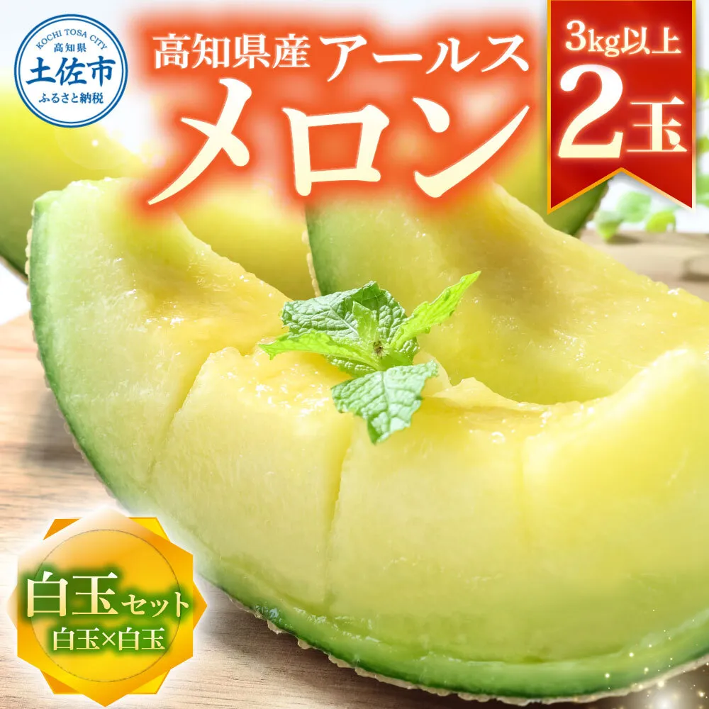 【先行予約】高級土佐アールスメロン2玉入り