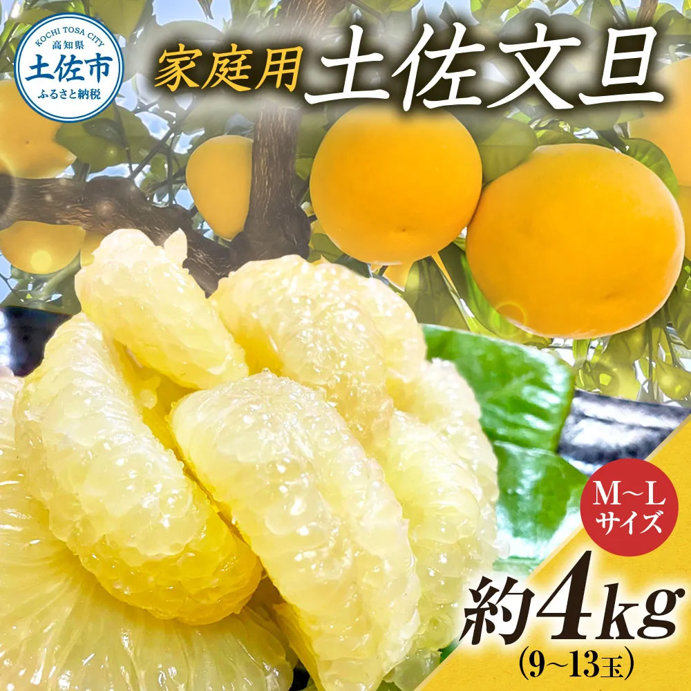 文旦 約4kg M～Lサイズ 9～13玉