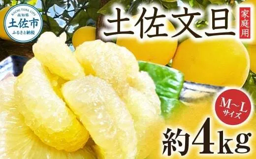 【先行予約】楠瀬さんの土佐文旦 家庭用 約4kg M～Lサイズ 9～13玉〈2027年2月15日～2027年4月5日発送〉 / ぶんたん ブンタン 文旦 フルーツ 柑橘 みかん 果物 くだもの 柑橘類 デザート お取り寄せ 国産 常温 配送【まる庄果樹園】[BQAF019]