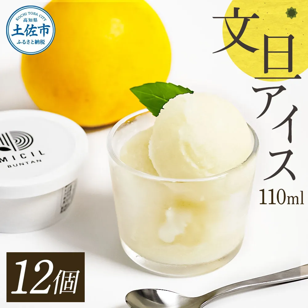 文旦アイス 12個入り 1個110ml ブンタン ぶんたん フルーツ 果物 柑橘 みかん お菓子 おかし おやつ デザート スイーツ ギフト おいしい 爽やか シャーベット お取り寄せ 冷凍 配送