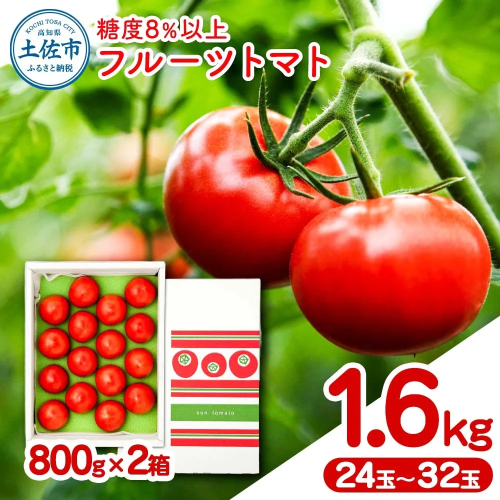 フルーツトマト 約1.6kg(約800g×2) 24～32玉入り 糖度 8度以上 フルーツトマト ふるーつとまと とまと トマト 甘い 濃厚 美味しい 箱入り 野菜 料理 サラダ お取り寄せグルメ 高知県産