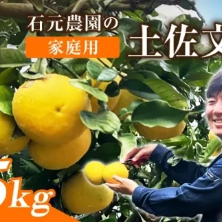 【先行予約】石元農園の土佐文旦 家庭用 大玉 約5キロ ＜2027年2月～発送＞ /  5kg 3Lサイズ 4Lサイズ 文旦 ぶんたん 柑橘 かんきつ みかん フルーツ デザート 果物 高知 【石元農園】 [BQBH005]
