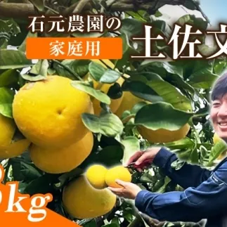 【先行予約】石元農園の土佐文旦 家庭用 約3キロ〈2027年2月～発送〉/ 期間限定 土佐文旦 文旦 3kg ブンタン ぶんたん 果物 柑橘 フルーツ 高知県産 家庭用 おいしい 【石元農園】 [BQBH006]